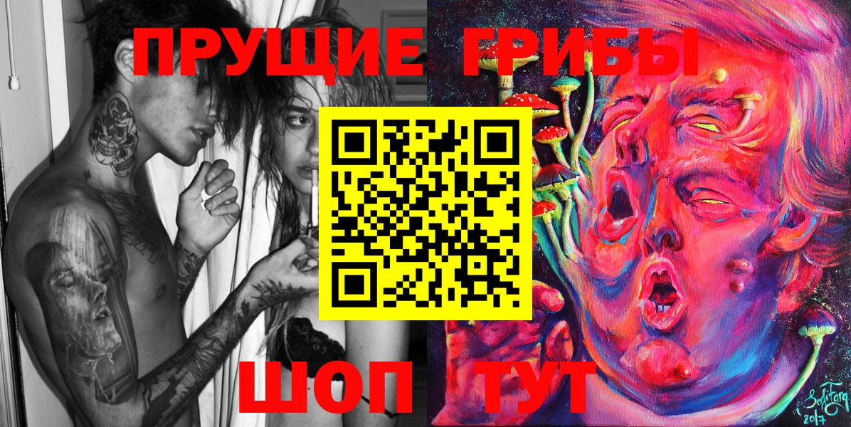 Псилоцибиновые грибы GOLDEN TEACHER  где купить   Вход с VPN  Железногорск  Галлюциногенные грибы MAGIC MUSHROOMS 